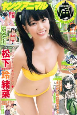 韩剧 市政厅